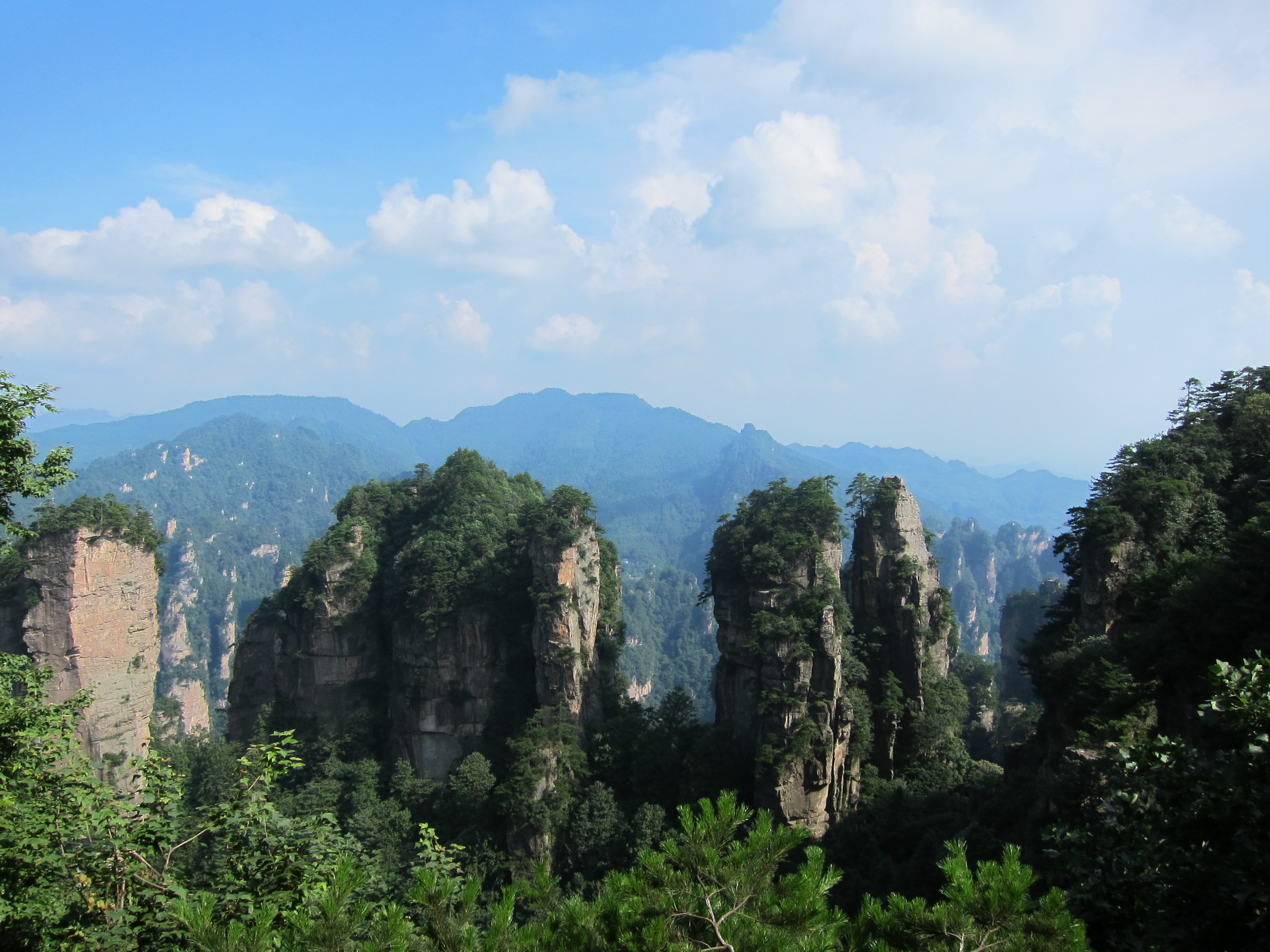 Pilares rochosos cobertos de floresta no Parque Nacional de Zhangjiajie.