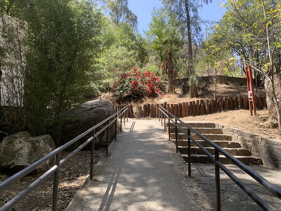 Parque Fuentes Brotantes de Tlalpan